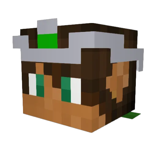Never25 Minecraft avatar head, 3D render