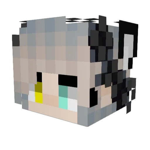 Never572 Minecraft avatar head, 3D render