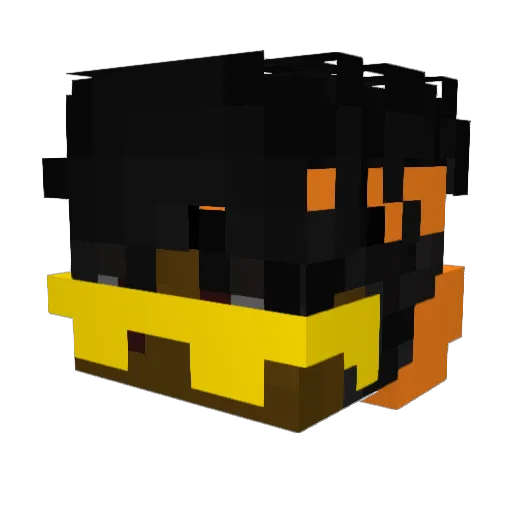 Never8570 Minecraft avatar head, 3D render