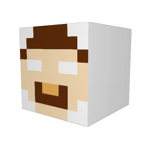 NeverForgetVodka Minecraft avatar head, 3D render
