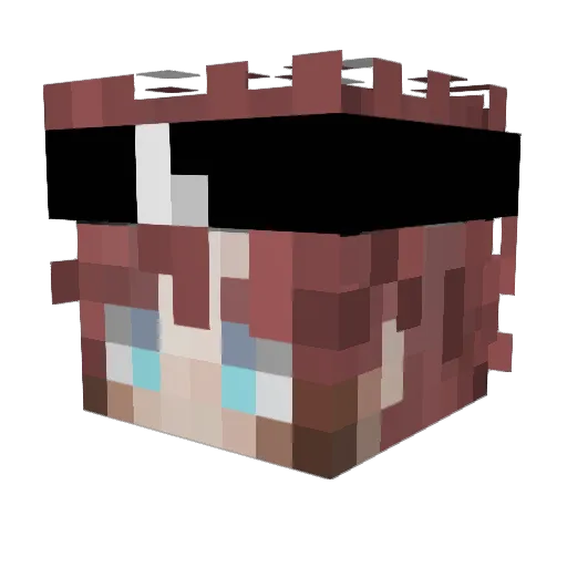NeverGoBack Minecraft avatar head, 3D render