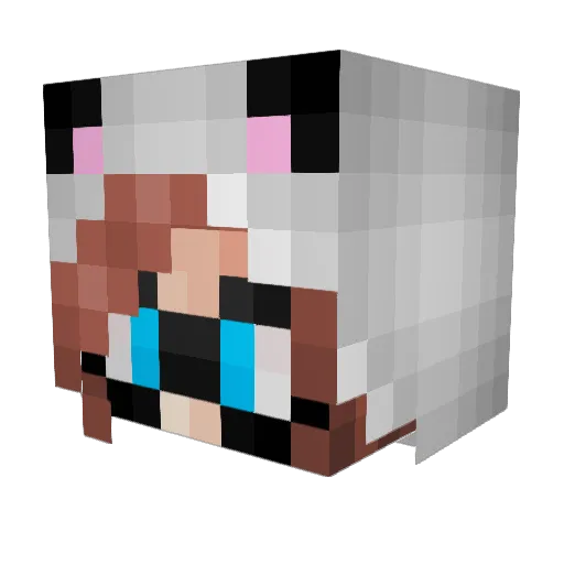 NeverShoutBear Minecraft avatar head, 3D render
