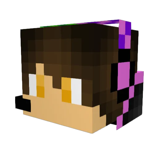 NeverT1med Minecraft avatar head, 3D render