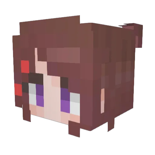 Nevercompromise_ Minecraft avatar head, 3D render