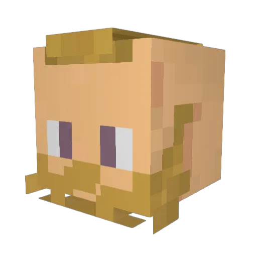 Nevercool Minecraft avatar head, 3D render
