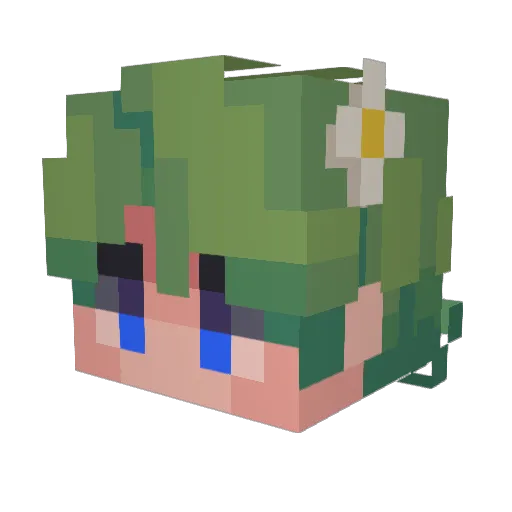 Neverglades Minecraft avatar head, 3D render