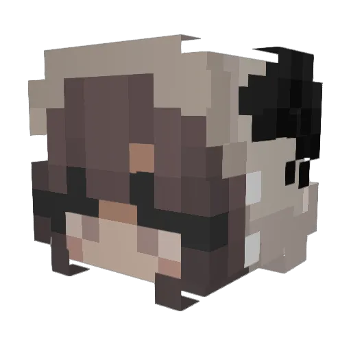 Neverland_Ray Minecraft avatar head, 3D render