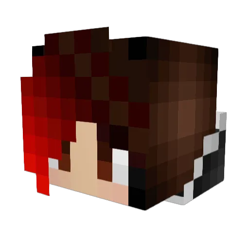Neverseen_41 Minecraft avatar head, 3D render