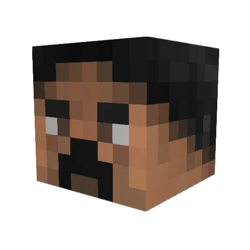Nevertry60 Minecraft avatar head, 3D render
