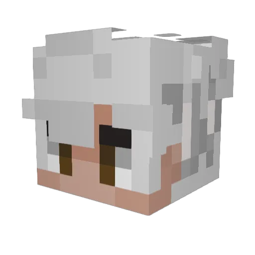 Nevillia_ Minecraft avatar head, 3D render