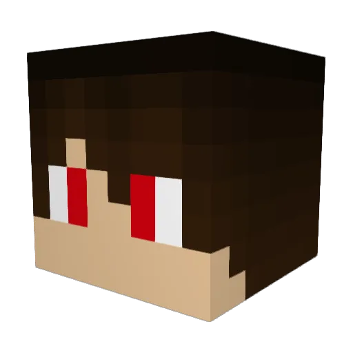 Nevio_bester06 Minecraft avatar head, 3D render