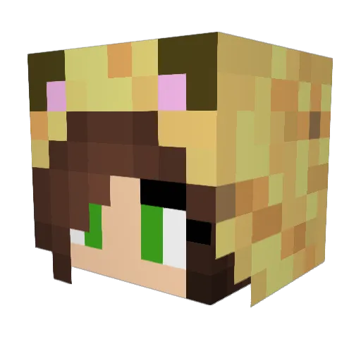 Neviternity Minecraft avatar head, 3D render