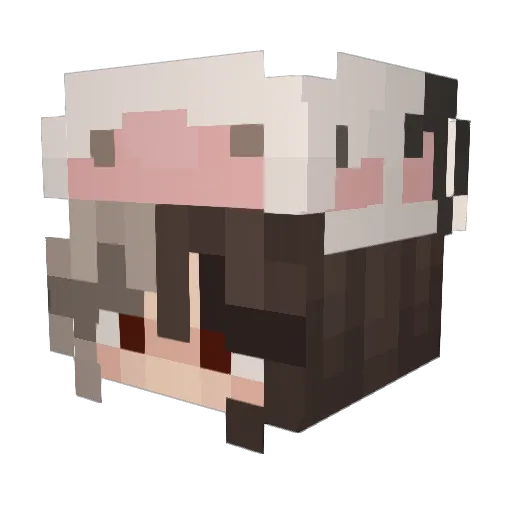 Nevmo Minecraft avatar head, 3D render
