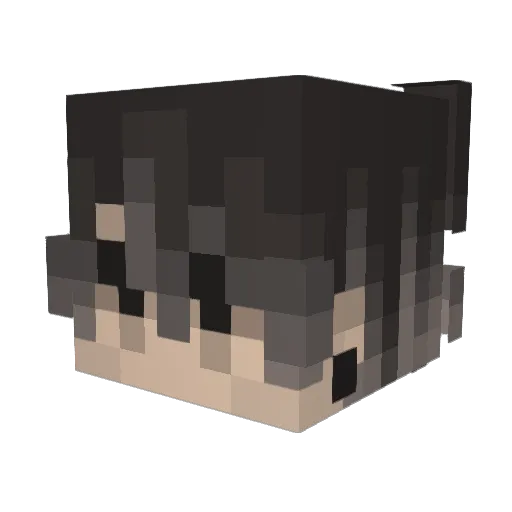 Nevo04 Minecraft avatar head, 3D render