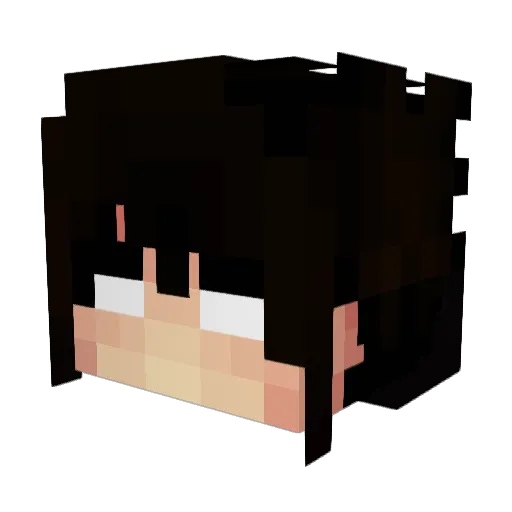 Nevolt1 Minecraft avatar head, 3D render
