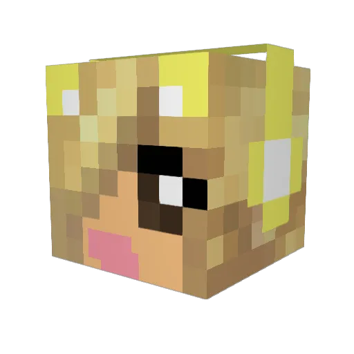 Nevranish Minecraft avatar head, 3D render