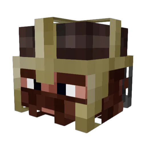 Nevrast7 Minecraft avatar head, 3D render