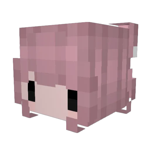 Nevviiee Minecraft avatar head, 3D render
