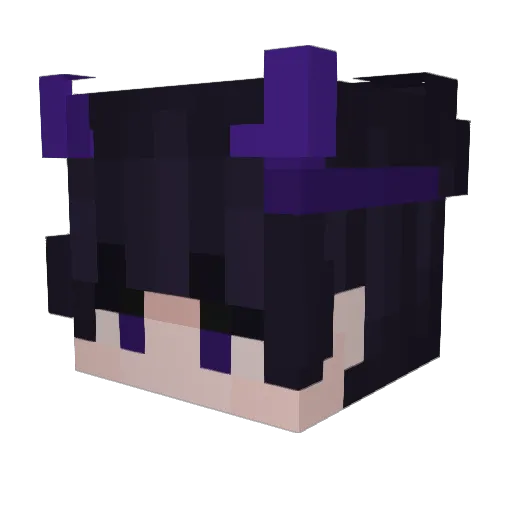 NewAccountDeletd Minecraft avatar head, 3D render
