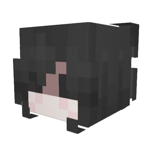NewDemons Minecraft avatar head, 3D render