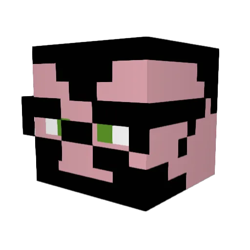 NewFarmz Minecraft avatar head, 3D render