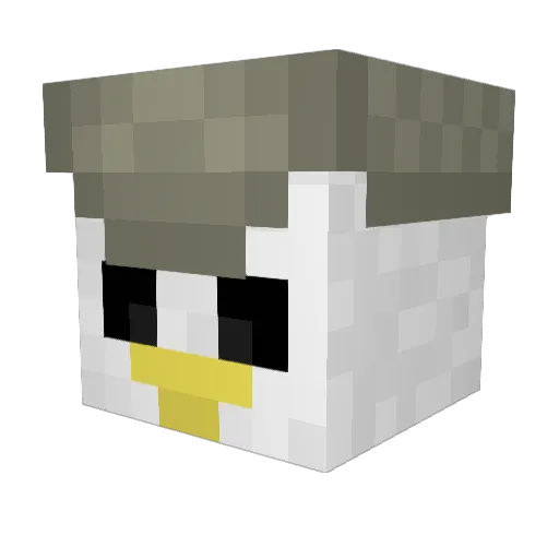 NewFireNinja Minecraft avatar head, 3D render