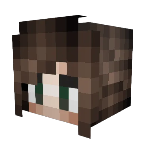 NewG6 Minecraft avatar head, 3D render