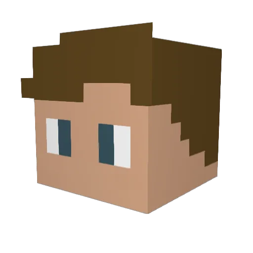 NewGuyChad Minecraft avatar head, 3D render
