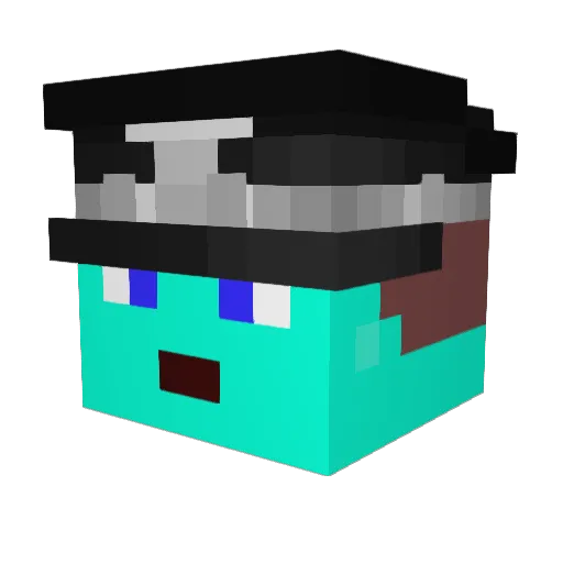 NewMaster2011 Minecraft avatar head, 3D render
