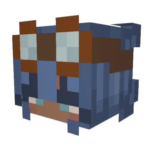 NewMoondancer Minecraft avatar head, 3D render