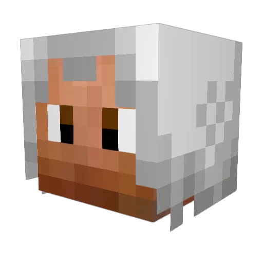NewOO8 Minecraft avatar head, 3D render