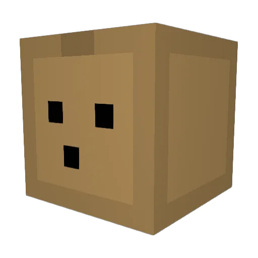 NewServer Minecraft avatar head, 3D render