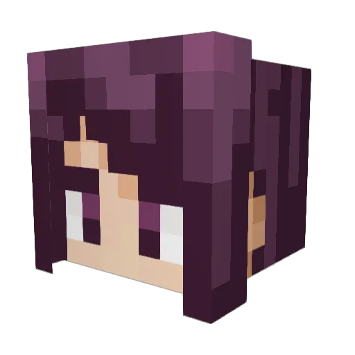 NewSplit Minecraft avatar head, 3D render