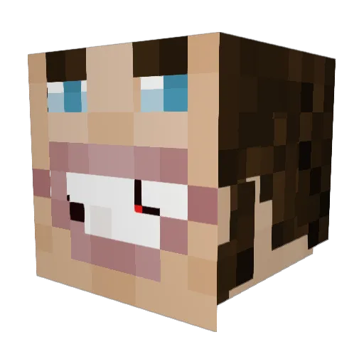 NewStew Minecraft avatar head, 3D render