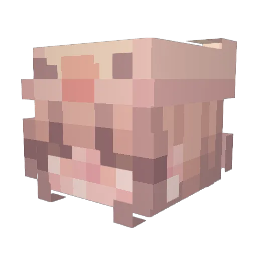 NewZealandPanda Minecraft avatar head, 3D render
