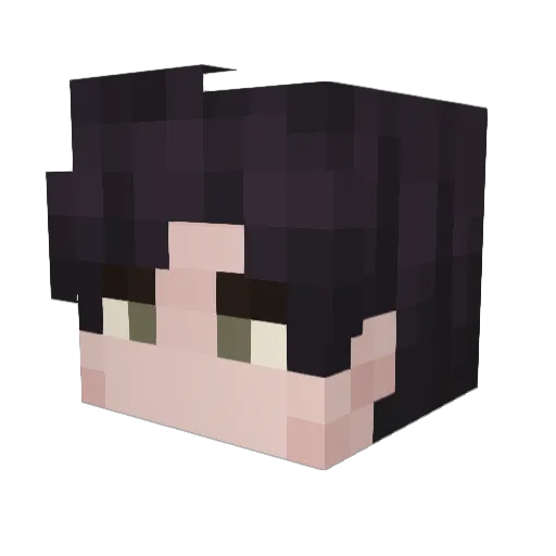 New_Alska11 Minecraft avatar head, 3D render