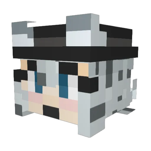 New_Jupiter Minecraft avatar head, 3D render