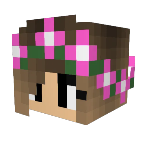 New_Years Minecraft avatar head, 3D render