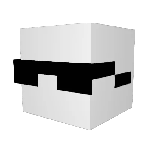 New_nothin2080 Minecraft avatar head, 3D render