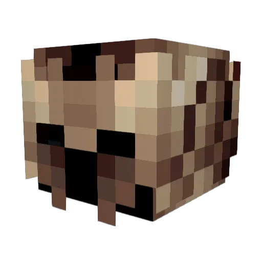 Newa01 Minecraft avatar head, 3D render