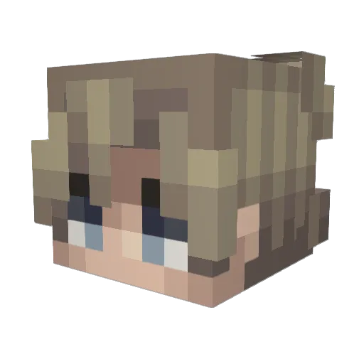 Newb1254 Minecraft avatar head, 3D render