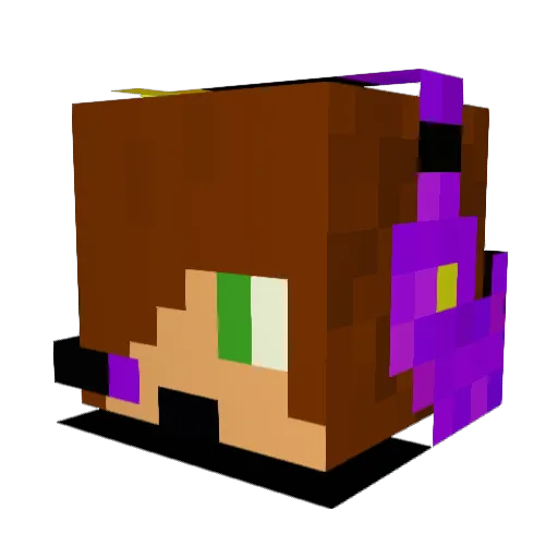 Newbie70706 Minecraft avatar head, 3D render