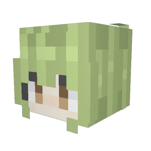 NewbieCatcher Minecraft avatar head, 3D render