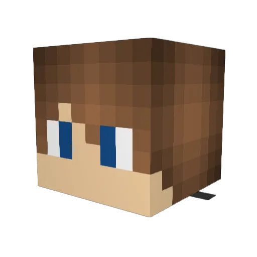 Newbiwan Minecraft avatar head, 3D render