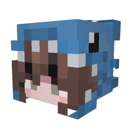 Minecraft-Avatar von NewburyMiner: Kopf als 3D-Render