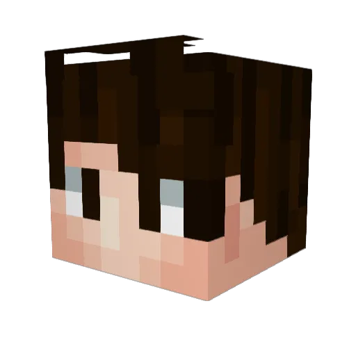 Newchacla Minecraft avatar head, 3D render