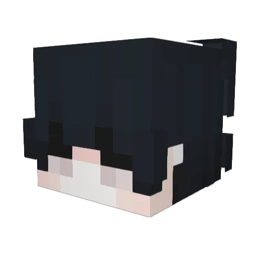 Newchurch Minecraft avatar head, 3D render