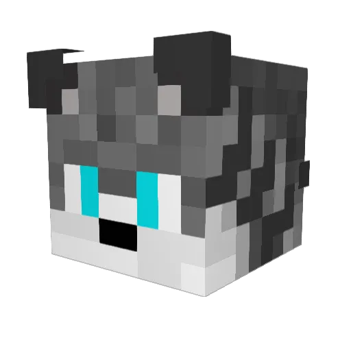 Newell413 Minecraft avatar head, 3D render