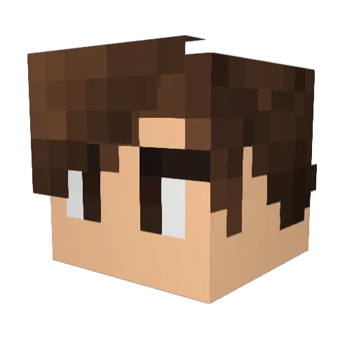 NewellMattis Minecraft avatar head, 3D render