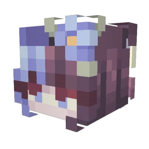 NewfieS Minecraft avatar head, 3D render